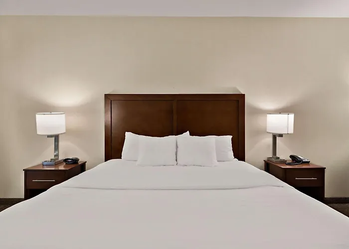 Comfort Inn & Suites Airport Convention Center Reno